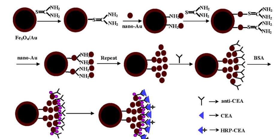 Custom Magnetic Nanoparticles for Detection of Carcinoembryonic ...