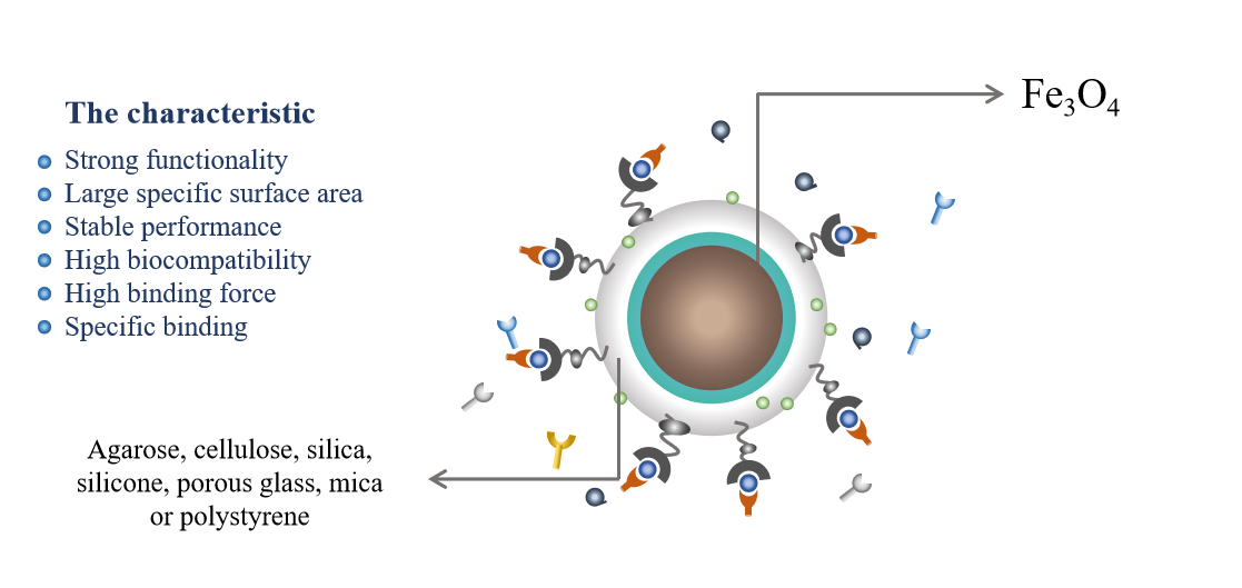 Customization Beads for Environmental Detection CD