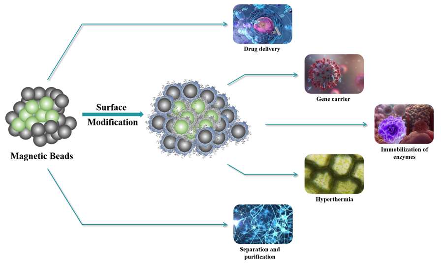 Custom Carboxy Beads CD Bioparticles
