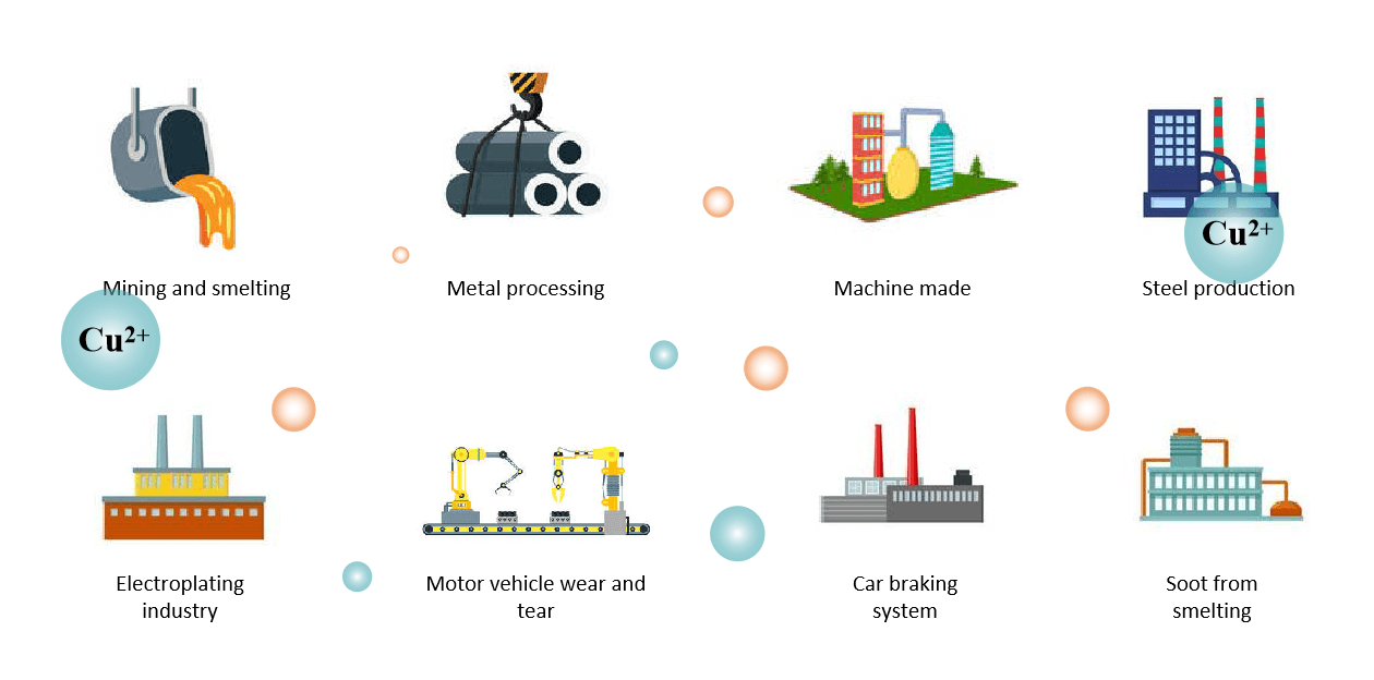 Magnetic Bead-based Efficient Measurement of Cu(Ⅱ) Ion - CD Bioparticles