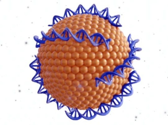 Custom Nanoparticle Development and Manufacturing for Diagnostics.