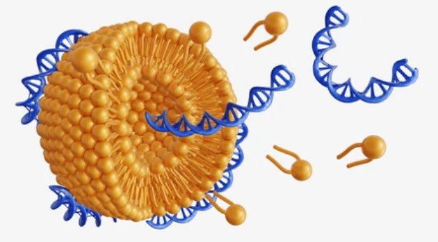 Custom Nanoparticles Synthesis.