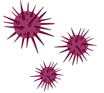 Endotoxin Testing of Nanoparticles