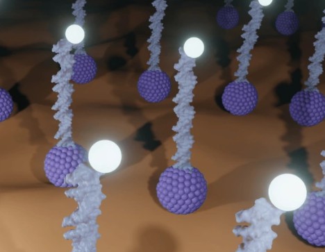 Drug discovery and development