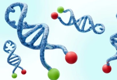 Biomolecular Purification
