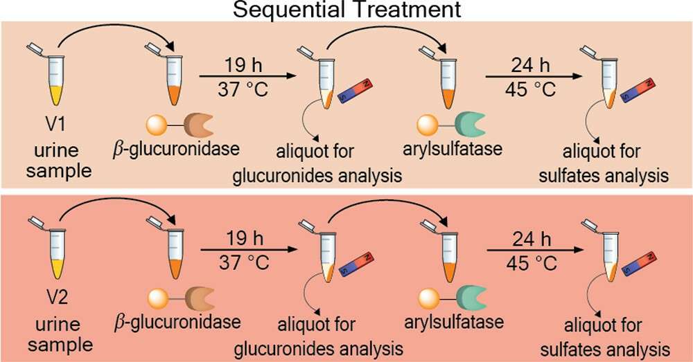 Magnetic Bead Enzyme Conjugation Services