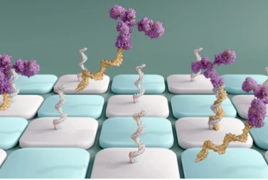 Biomedical Research
