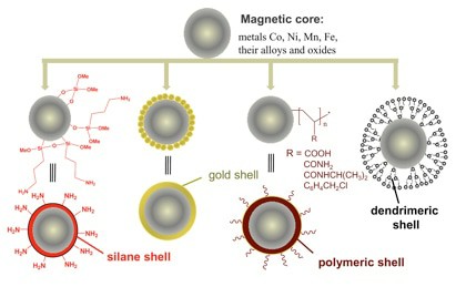 Figure 1. Magnetic Bead Metal Conjugation Services