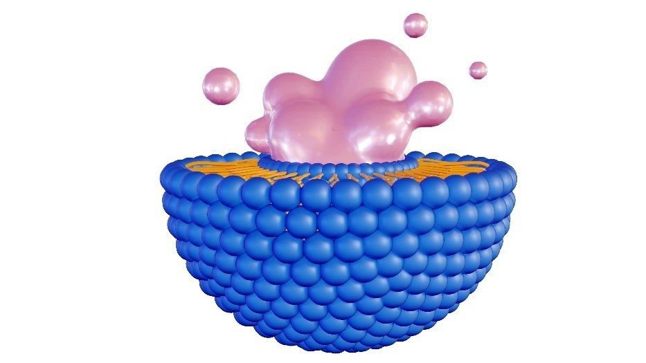 Figure 1. Magnetic Bead.