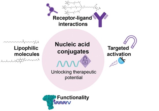 Magnetic Bead Nucleic Acid Conjugation Services