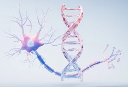 Gene Therapy and Delivery