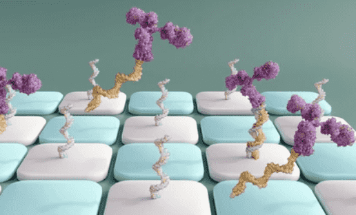 Molecular Diagnosis