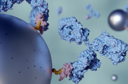Biomolecule Purification