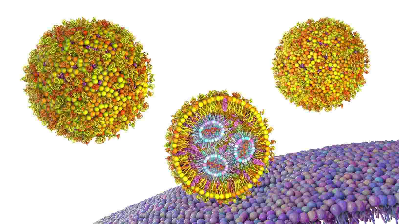 Biobased Nanoparticles Design Service.