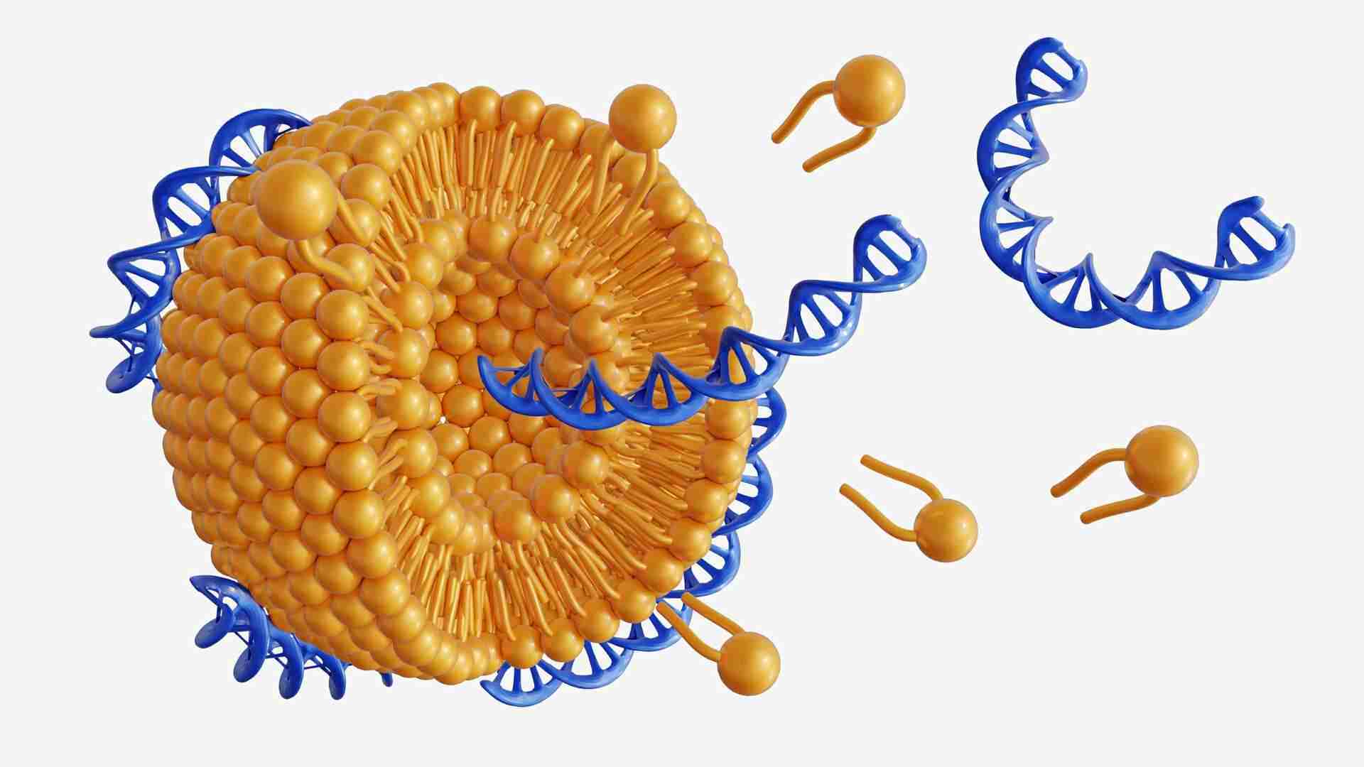 Nanoparticle Contract Process Development.