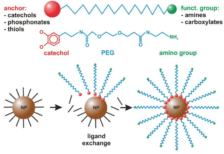 Surface chemistry and functional group customization for magnetic bead.