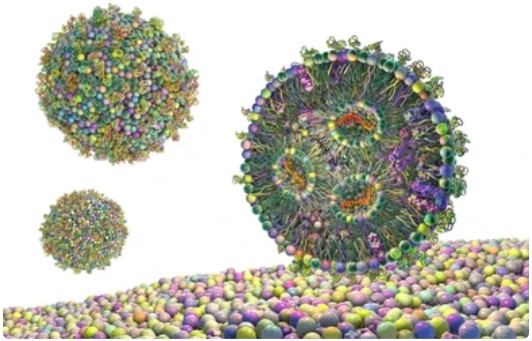 TEM Nanoparticle Analysis.