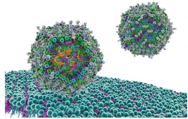 UV-Visible Nanoparticle Analysis.