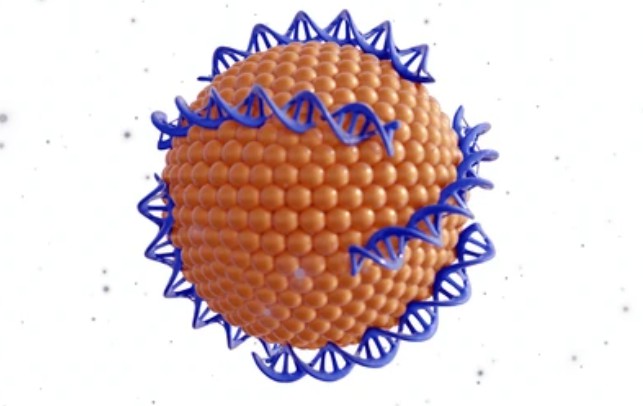 Zeta Potential Nanoparticle Analysis